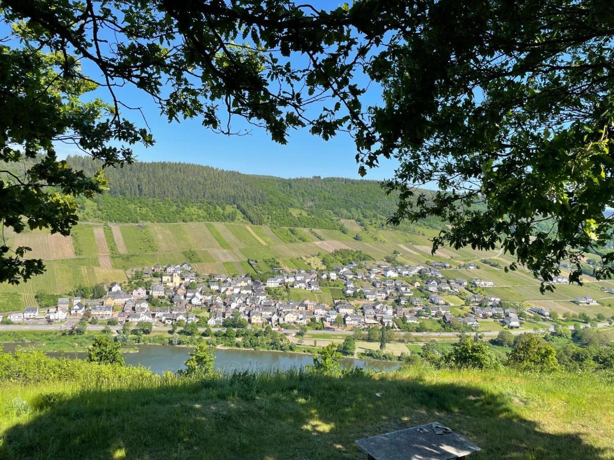 Ferienwohnung Metzen Burg  المظهر الخارجي الصورة
